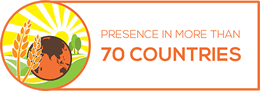Presence in more than 70 countries