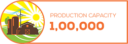 Production capacity 1,00000